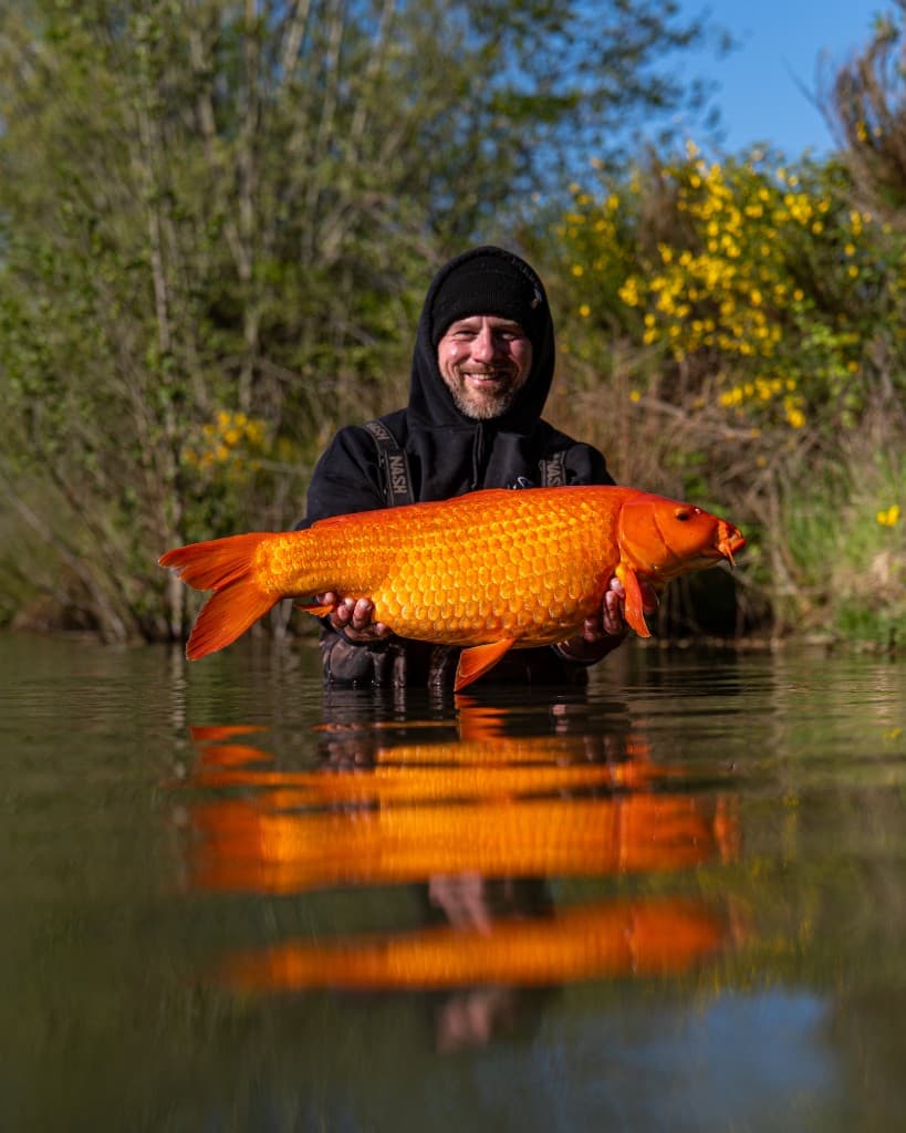 Stock fish capture 4