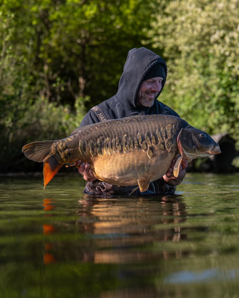 Mirror carp capture for Fish Stock Pro